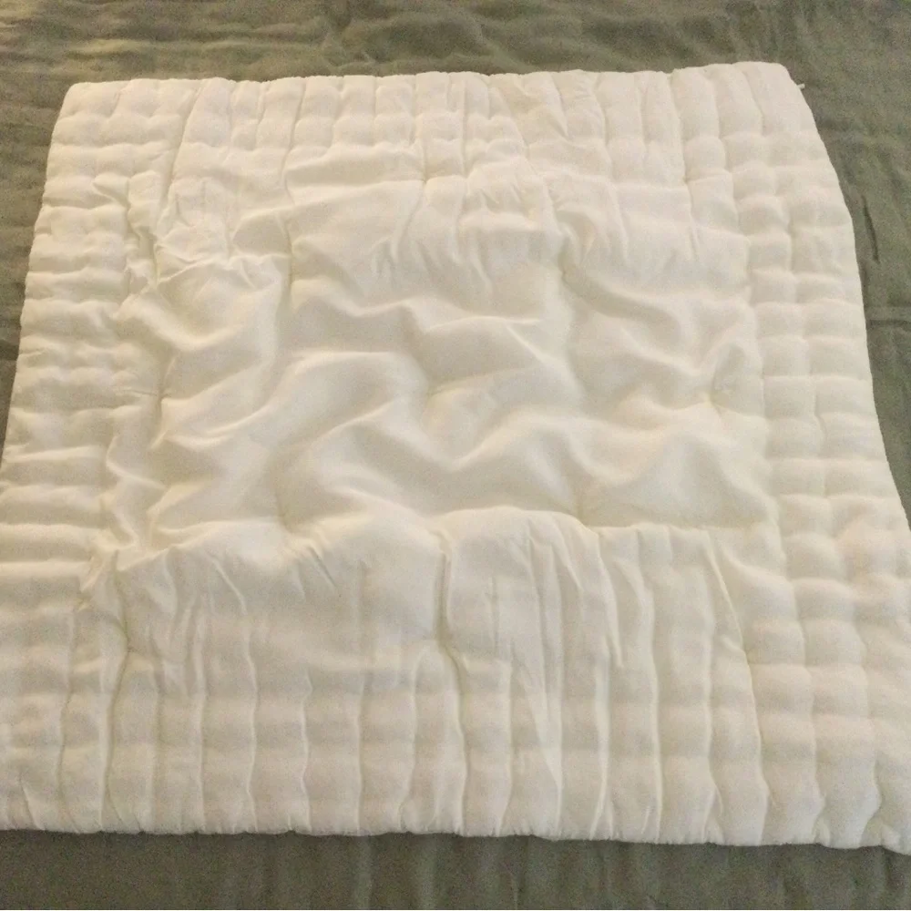 Pottery Barn Ivory Silk Euro Pillow Sham
